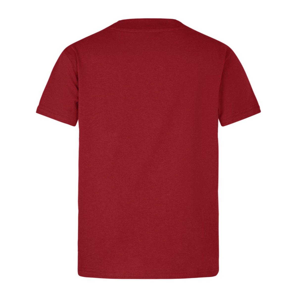 2025 جيرسي البريطانية والأيرلندية 2025